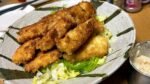 千切りキャベツの上に盛ったスズキのフライとタルタルソース