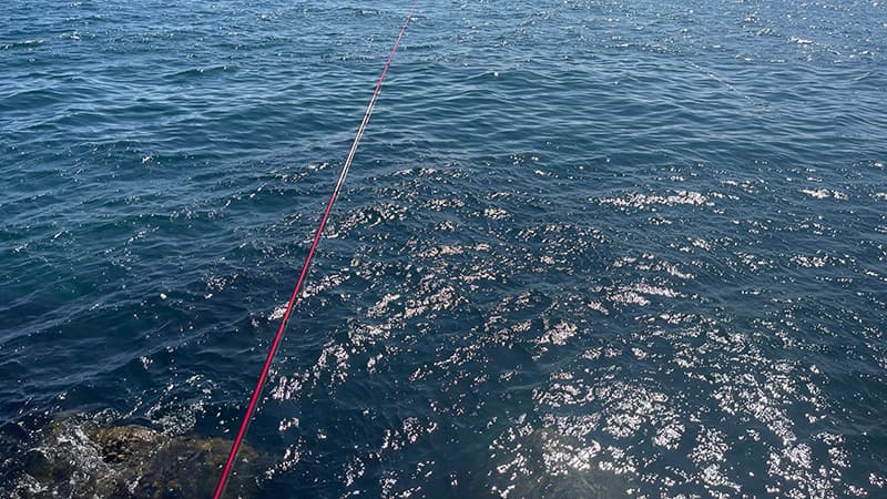 太陽を反射してギラギラと光る青い海面と、赤い磯竿の穂先