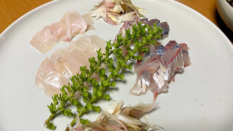 皿に盛ったカワハギとシマアジの刺身。紫蘇の実とみょうがを添えて