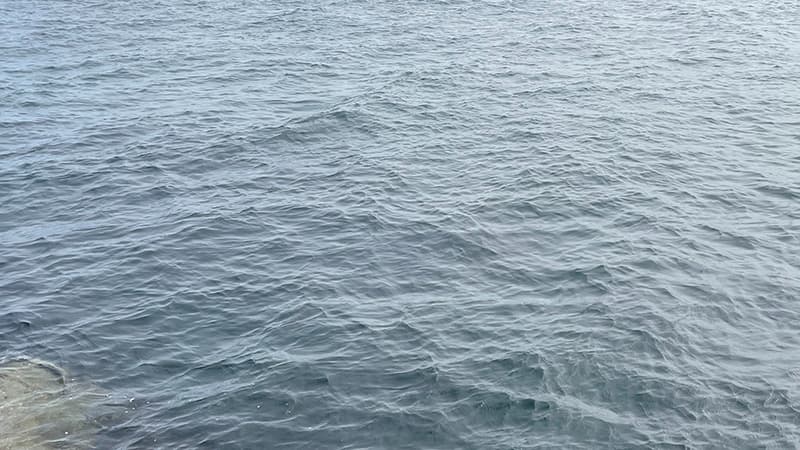 秋晴れの日、風で細かく波立つ青みがかった海面