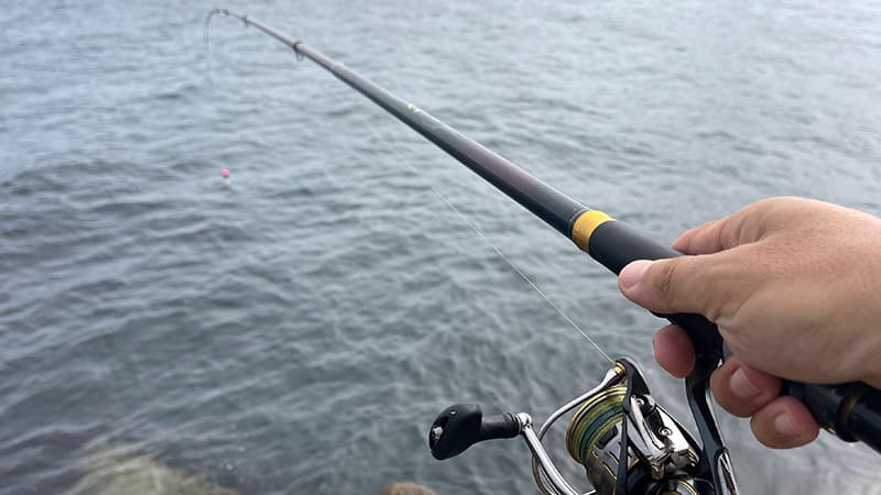 海に向けて構えた磯竿 波濤の手元と、沖に浮かぶ赤い円錐ウキ