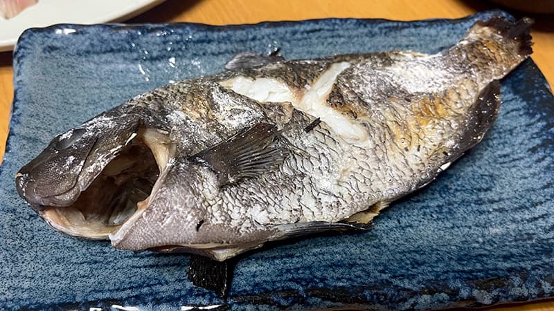 青い皿に盛った、皮がパリッと焼き上がったグレ(メジナ)の塩焼き