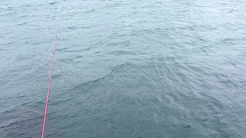 雨で灰色に沈んだ海面へ伸びる、赤い磯竿の穂先とライン
