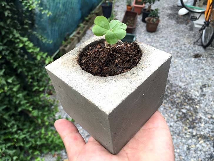 f:id:islog:20160212015218j:plain