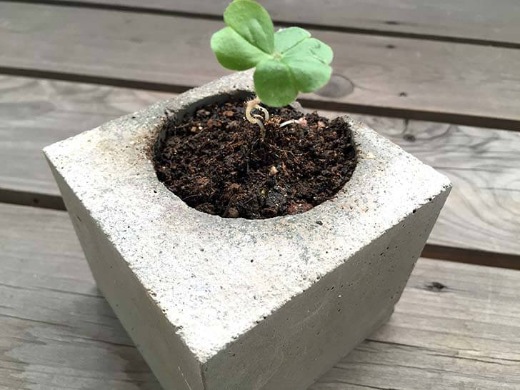 f:id:islog:20160212015220j:plain