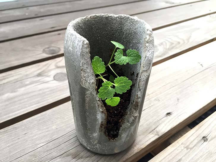 f:id:islog:20160212015221j:plain