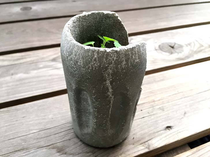 f:id:islog:20160212015223j:plain