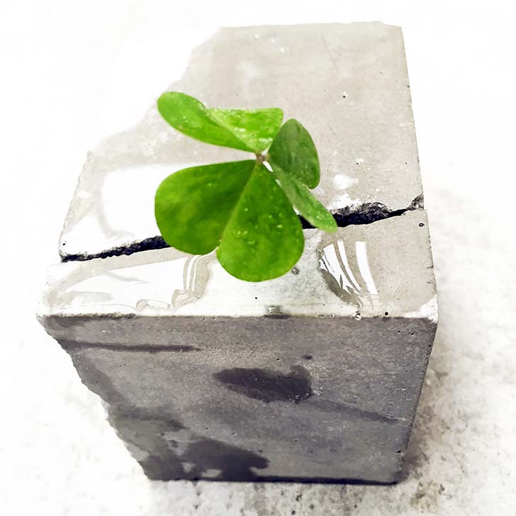 f:id:islog:20160212015227j:plain