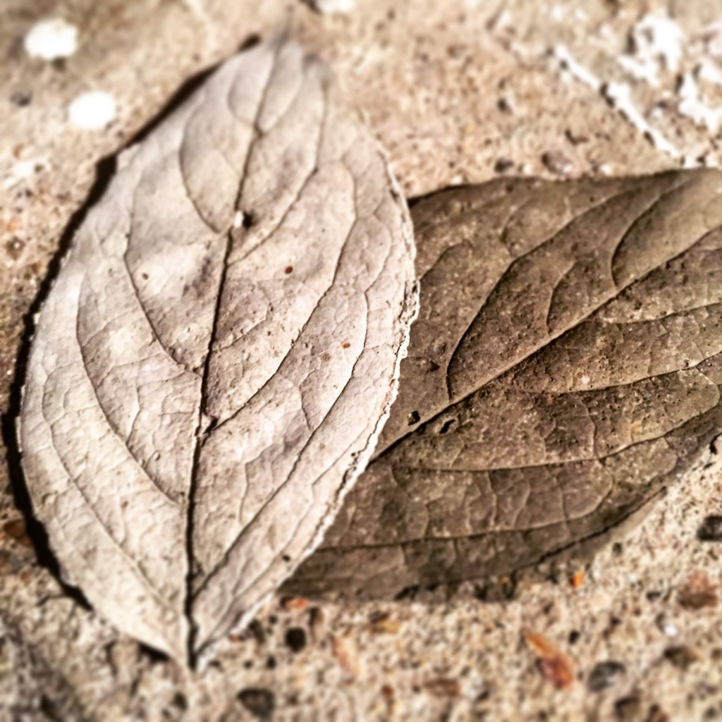 f:id:islog:20160212015231j:plain