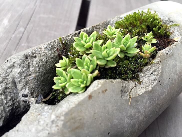 f:id:islog:20160404212405j:plain