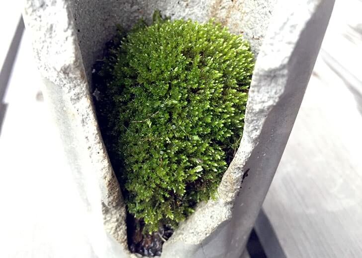 f:id:islog:20160404212411j:plain