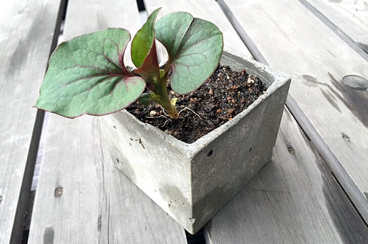 f:id:islog:20160404212413j:plain