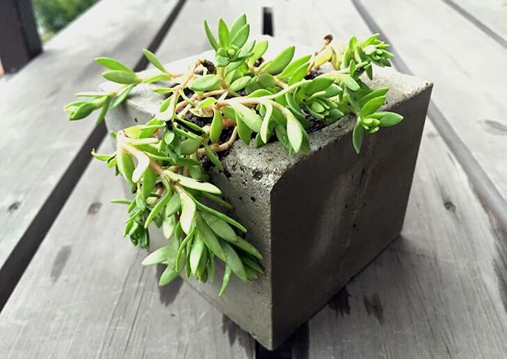 f:id:islog:20160404212419j:plain