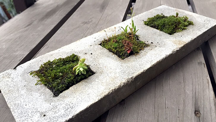 f:id:islog:20160404212420j:plain