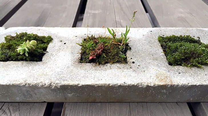 f:id:islog:20160404212421j:plain