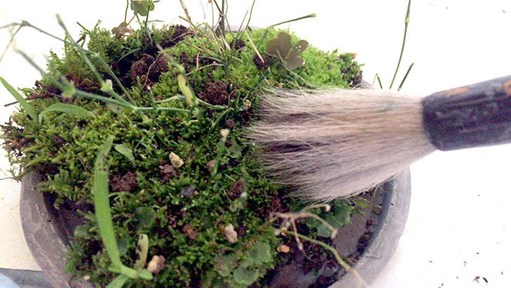 f:id:islog:20160821232952j:plain f:id:islog:20160821232952j:plain