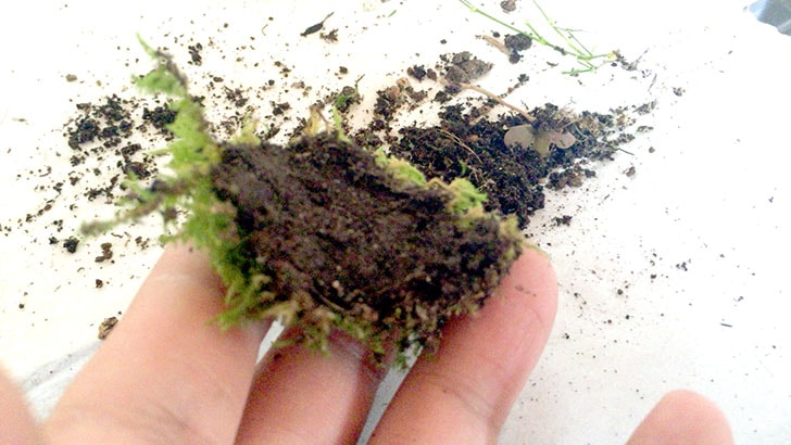 f:id:islog:20160821232953j:plain f:id:islog:20160821232953j:plain