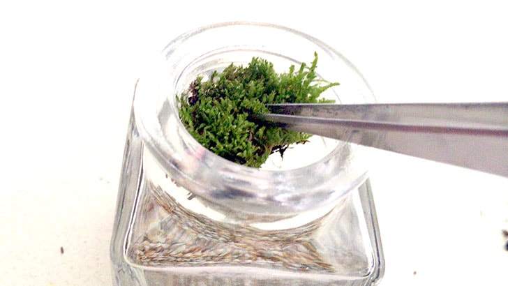 f:id:islog:20160821232956j:plain f:id:islog:20160821232956j:plain