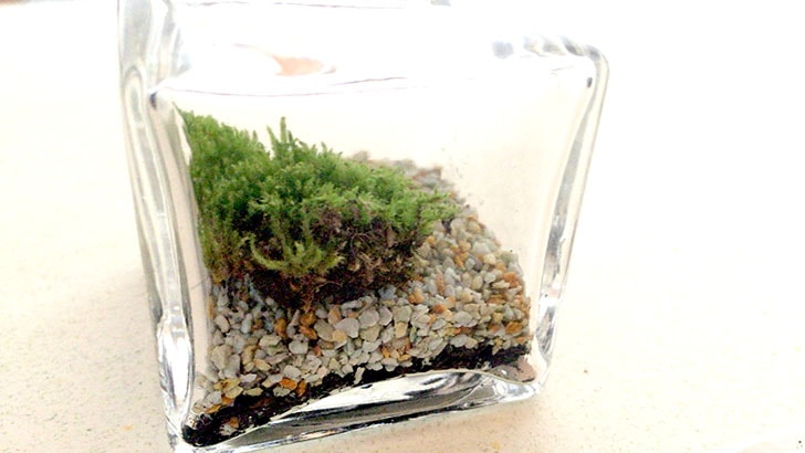 f:id:islog:20160821232957j:plain f:id:islog:20160821232957j:plain