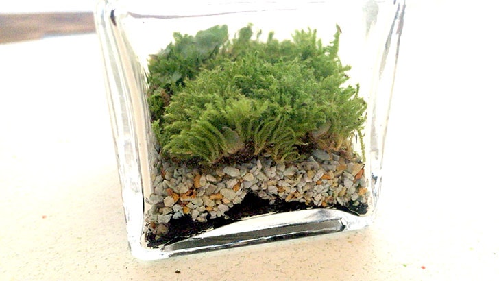 f:id:islog:20160821233001j:plain f:id:islog:20160821233001j:plain