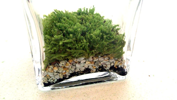 f:id:islog:20160821233005j:plain f:id:islog:20160821233005j:plain