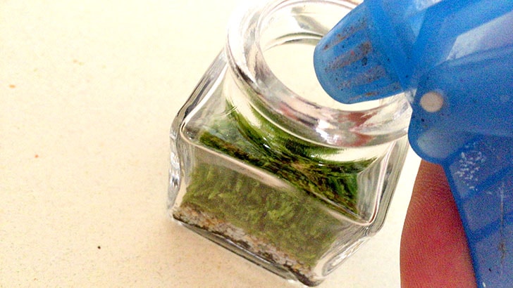 f:id:islog:20160821233007j:plain f:id:islog:20160821233007j:plain