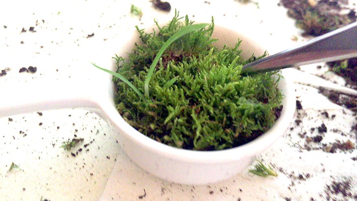 f:id:islog:20160821233010j:plain f:id:islog:20160821233010j:plain