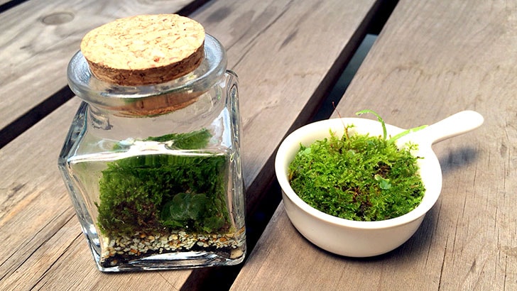 f:id:islog:20160821233011j:plain f:id:islog:20160821233011j:plain