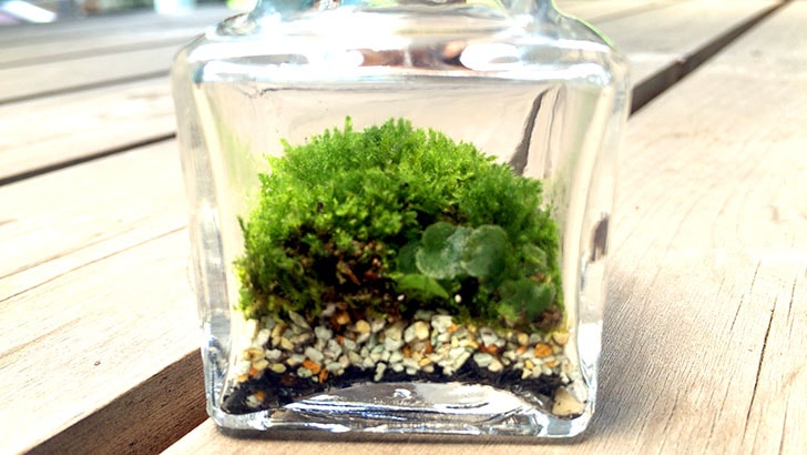 f:id:islog:20160821233012j:plain f:id:islog:20160821233012j:plain