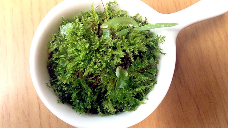 f:id:islog:20160821233016j:plain f:id:islog:20160821233016j:plain