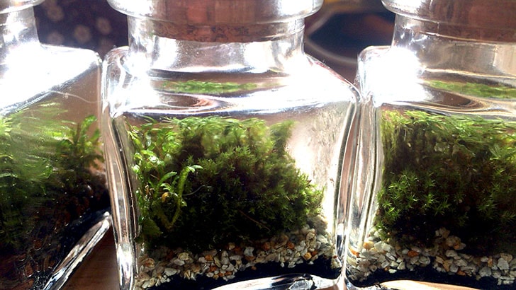 f:id:islog:20160821233017j:plain f:id:islog:20160821233017j:plain