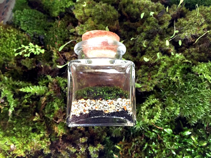 f:id:islog:20160821233019j:plain f:id:islog:20160821233019j:plain