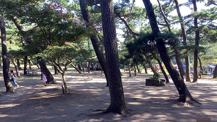 富津公園キャンプ場でバーベキュー！海まで歩いてすぐの好立地